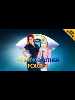 [画像][x]Promi Big Brother Folge 1: Der Einzug der 12 Kandidaten LIVE aus Berlin ... 余白なし