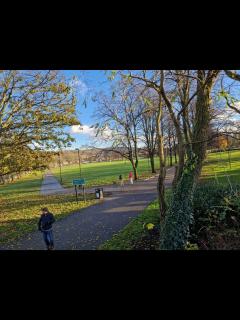 [画像][x]How Hillsborough Park looks now, four months after Tramlines 余白なし