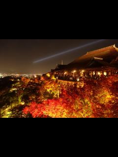 [画像][x]京都の紅葉名所ランキング27選「2020年」はいつがベストな見頃？綺麗に 色づく紅葉の名所スポットから 穴場までを紅葉の見頃の時期と合わせてご ... 余白なし