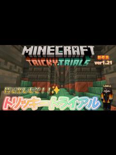 [画像][x]ヘビーコアを探せ！！＜マインクラフト＞ - YouTube 余白なし