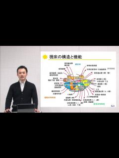 [画像][x]10分でわかる脳の構造と機能vol.9「視床・視床下部」‐畿央大学ニューロリハビリテーション研究センター‐ - YouTube 余白なし