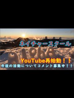 [画像][x]Youtube再開！今後の活動についてのご報告 - YouTube 余白なし