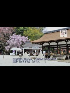 [画像][x]上賀茂神社 / Kamigamo Shrine / 京都いいとこ動画 - YouTube 余白なし