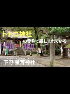 [画像][x]下野星宮神社（しもつけほしのみやじんじゃ）【パワースポット 余白なし