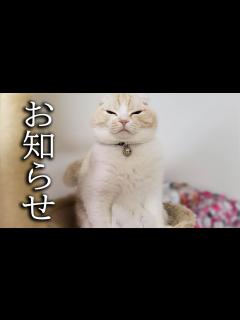 [画像][x]皆様にお知らせがあります... - YouTube 余白なし