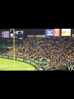 [画像][x]181010 阪神タイガース 阪神甲子園球場最終戦 5回裏のライトスタンド応援 1080p - YouTube 余白なし