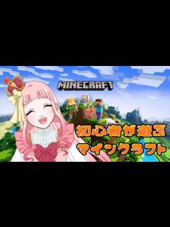 [画像][x]初心者がマインクラフトをプレイする11日目【#minecraft  余白なし