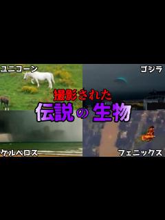 [画像][x]【ゆっくり解説】写真や映像でも捉えられた! 伝説の生物実在説総集編【フェニックス、ユニコーン、ケルベロス、ゴジラ】 - YouTube 余白なし