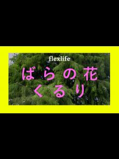 [画像][x]ばらの花 / くるり・by flexlife - YouTube 余白なし