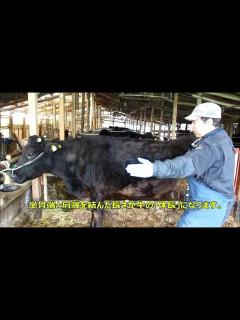 [画像][x]牛の各部位の名称 The name of each part of a cow - YouTube 余白なし