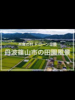 [画像][x]丹波篠山市の田園風景(兵庫県)空撮動画 / Tanna Trip - YouTube 余白なし