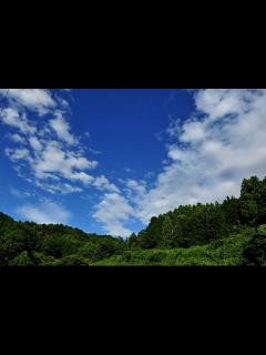 [画像][x]夏は来ぬ Summer has come. Instrumental(器楽演奏・全歌詞字幕付き) - YouTube 余白なし