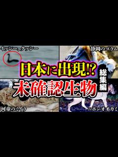 [画像][x]日本に実在する謎のUMA・未確認生物たちについてまとめ【ゆっくり解説 余白なし