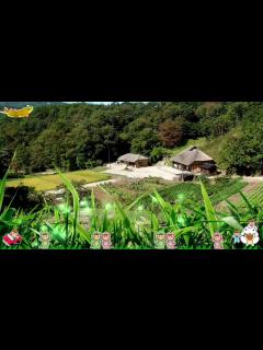 [画像][x]🍓 ザ！鉄腕！DASH！DASH村テーマ曲(TOKIO)「DASH VILLAGE」HiyokoHouse - YouTube 余白なし