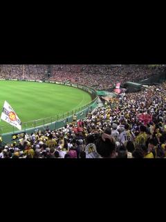 [画像][x]くたばれ読売そーれいけいけ（伝統の一戦で） ＠甲子園 20190529 - YouTube 余白なし