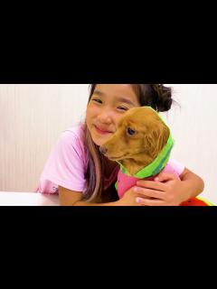 [画像][x]みのちゃんはあたらしいペットを飼いたい！かわいどうぶつ達とあそぼう！＊教育 こたみのチャンネル - YouTube 余白なし