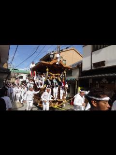 [画像][x]令和5年 南町だんじり祭り - YouTube 余白なし