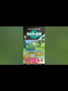 [画像][x]【ティアキン】万全態勢のリンクさん、ミネルにまだ認められない【ゼルダの伝説 ティアーズ オブ ザ キングダム】#shorts - YouTube 余白なし