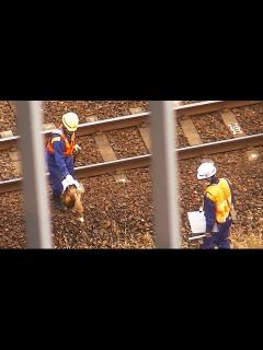 [画像][x] 線路わきに横たわる物体の処理 / JR踏切事故 - YouTube 余白なし