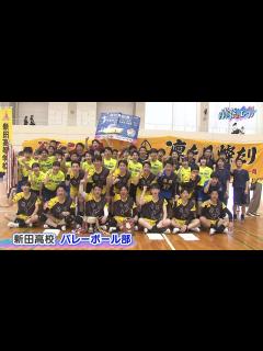 [画像][x]【高校総体2024】新田高校 バレーボール部 #青春にエール - YouTube 余白なし