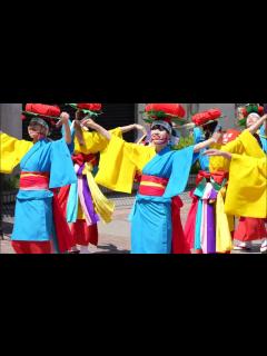 [画像][x]さんさ好み 📍Yosakoiさんさ (滝の前広場) 2024-05-26T12:54 - YouTube 余白なし