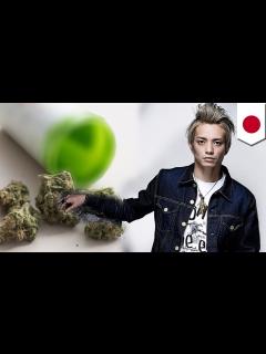 [画像][x]元「KAT-TUN」田中聖容疑者、大麻所持で逮捕 - 動画 Dailymotion 余白なし