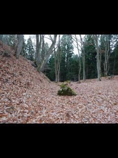 [画像][x]柏木城跡の旅行観光情報 | AVA Travel（アバトラベル） 余白なし