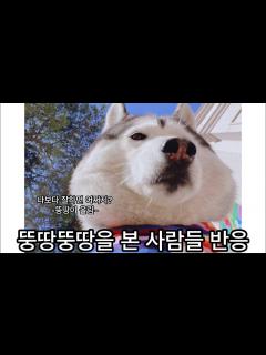 [画像][x]뚱땅이의 뚱땅뚱땅을 본 사람들 반응 (따라하고싶은 뚱땅뚱땅) - YouTube 余白なし