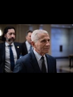[画像][x]Fauci Testimony Uncovered 'Drastic' Failures, Republicans Say - Newsweek 余白なし