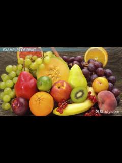 [画像][x]Fruits | Definition, Types & Examples - Lesson | Study.com 余白なし