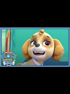 [画像][x]パウ・パトロール しゅつどう！ - YouTube 余白なし