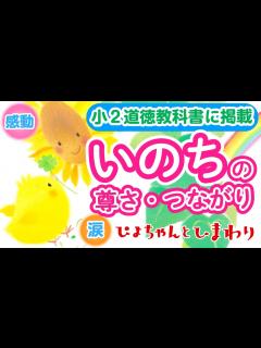 [画像][x]「いのち」の尊さとつながりを伝えます 小2道徳教科書に掲載『ぴよちゃんとひまわり』🐤 - YouTube 余白なし