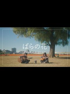 [画像][x]ばらの花（くるり cover）／ぎがもえか×クララズ - YouTube 余白なし
