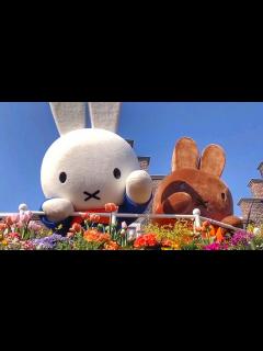 [画像][x]2024.3.13㈬15:00 🐰ミッフィーセレブレーションパレード チームエキサイト ハウステンボス - YouTube 余白なし