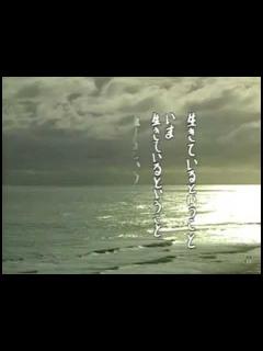 [画像][x]君は海を見たかラストシーン - YouTube 余白なし