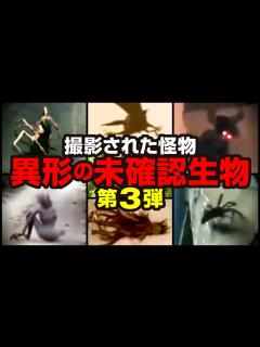 [画像][x]撮影された怪物 異形の未確認生物 第3弾 - YouTube 余白なし