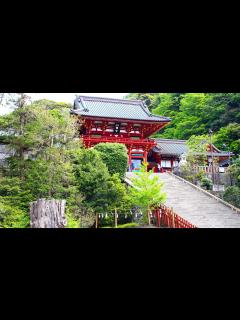[画像][x]鶴岡八幡宮：将軍・実朝暗殺の衝撃、源家断絶し公武対立へ（10） | nippon.com 余白なし