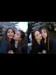 [画像][x]“最強美女コンビ”新木優子・谷まりあ、お花見満喫、可愛すぎるツーショットを披露 - YouTube 余白なし