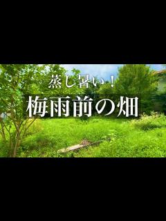 [画像][x]＃43 真夏！暑すぎ！ - YouTube 余白なし