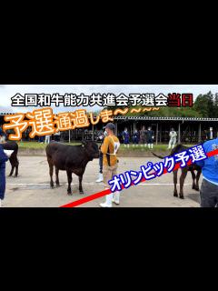 [画像][x]全国和牛能力共進会予選に出品しました - YouTube 余白なし