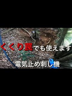 [画像][x]くくり罠での捕獲にも使える電気止め刺し機！くくり罠捕獲動画 - YouTube 余白なし