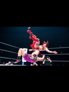 [画像][x]【スターダム】橋本千紘が衝撃のノックダウン負け！女子プロレス最強決定戦！朱里 vs 橋本千紘の特別完全決着ルール！-4.23横浜アリーナ大会 ... 余白なし