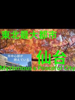 [画像][x]【東北最大都市 仙台】市中心部が幻想世界🌟関東・関西にいた私が驚いた🌟 - YouTube 余白なし