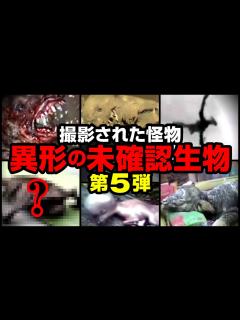 [画像][x]撮影された怪物 異形の未確認生物 第5弾 - YouTube 余白なし