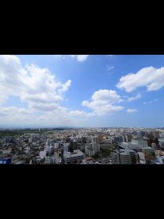 [画像][x]堺市の住みやすさ・住み心地【2025年】 - 堺に住むなら 余白なし