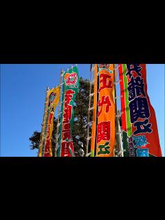 [画像][x]令和五年初場所の のぼり旗全部 朝乃山 貴景勝 若隆景 若元春【大相撲】2023/01 sumo flags, welcome back ... 余白なし