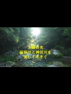 [画像][x]【4K 太陽の光がまぶしい 美しい水面に太陽の光が映しだされる程の綺麗な円原川と実は隠れ光芒が観れる神崎川】セミの音とともに川の音を聴きながら ... 余白なし