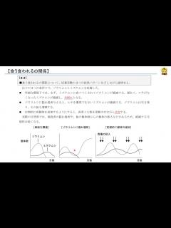 [画像][x]食う食われるの関係 【高校生物】 - YouTube 余白なし