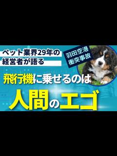 [画像][x]村上佳菜子、ペットと乗れる飛行機を作って欲しい… #shorts - YouTube 余白なし