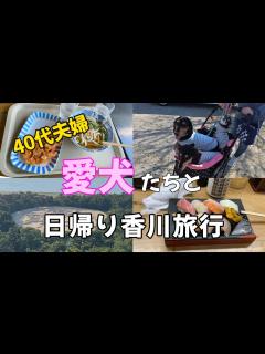 [画像][x]【愛犬と日帰り旅行】☆40代夫婦☆立ち食い寿司/犬と食べれるうどん屋/絶品クレープ屋/ - YouTube 余白なし